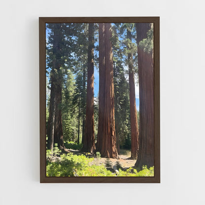 ap-sequoia-4 cadre Bois foncé