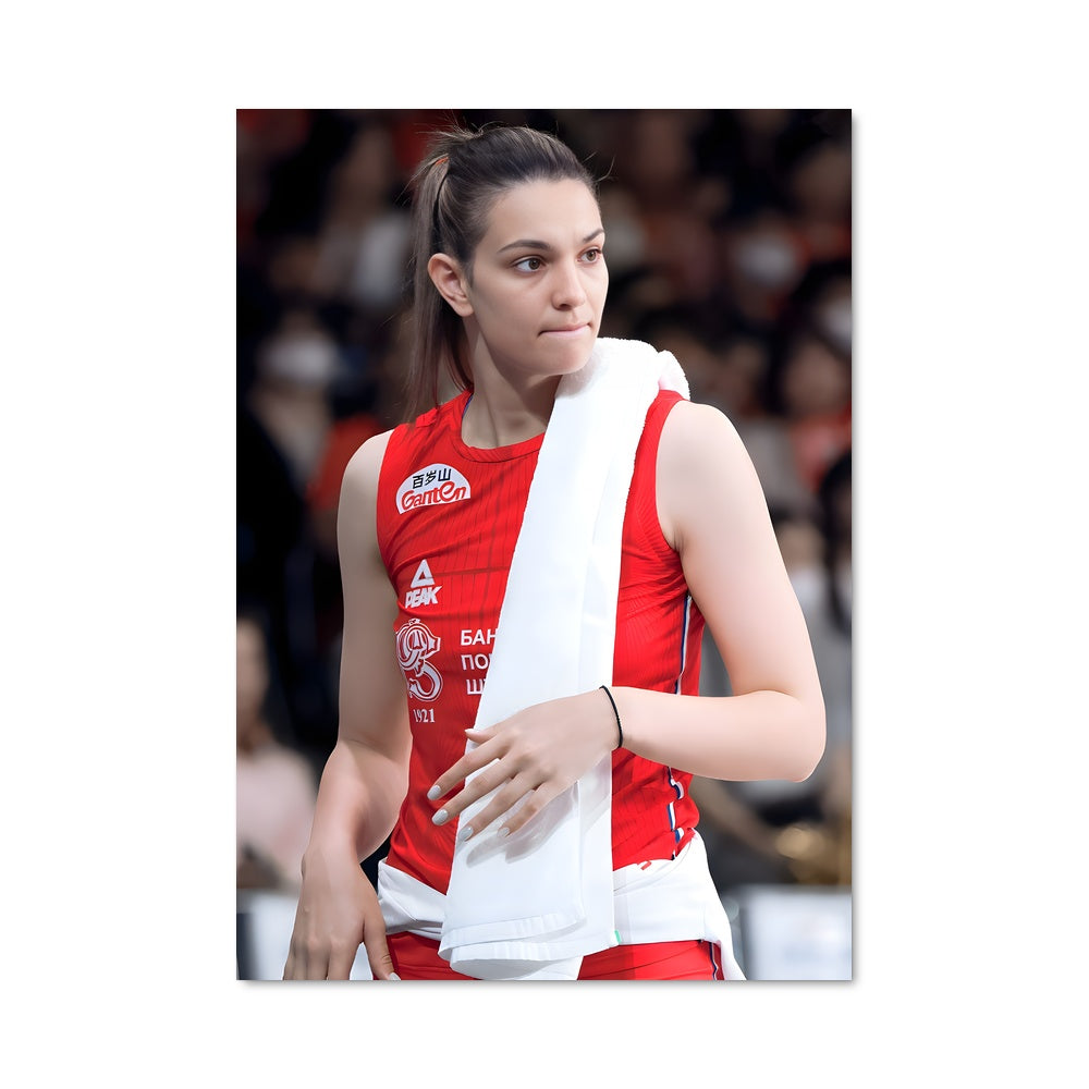 Poster Serbia national volleyball team 75024