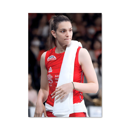 Poster Serbia national volleyball team 75024