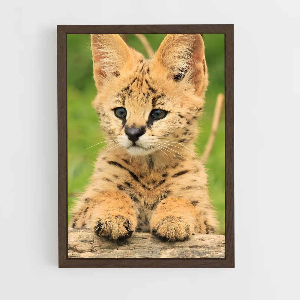 ap-serval-2 cadre Bois foncé