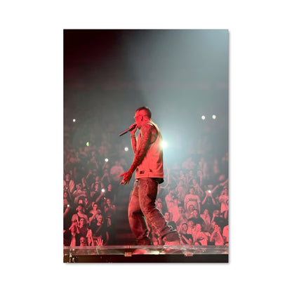 Poster Stage King