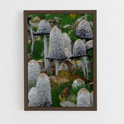 ap-shaggy ink cap-2 cadre Bois foncé