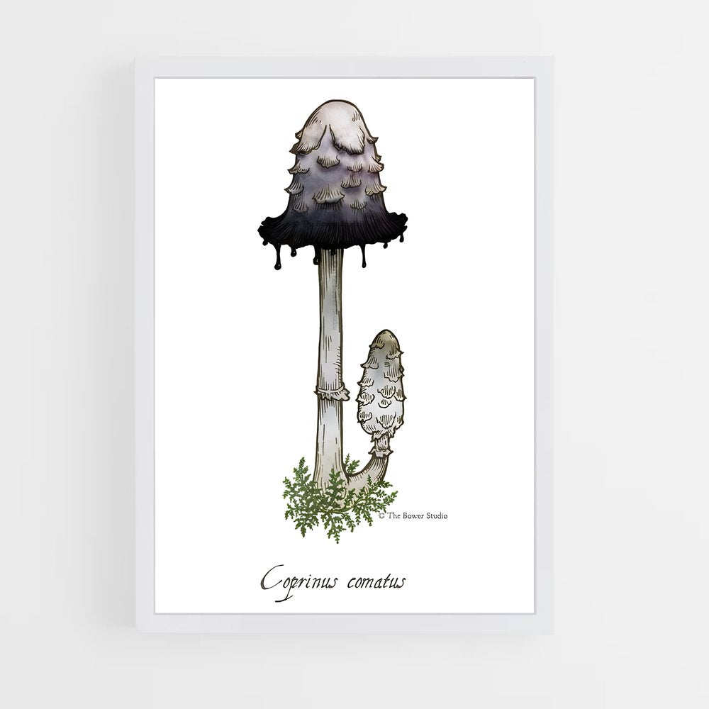 ap-shaggy ink cap-3 cadre Blanc