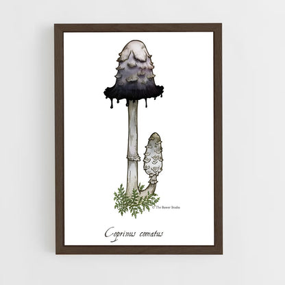 ap-shaggy ink cap-3 cadre Bois foncé