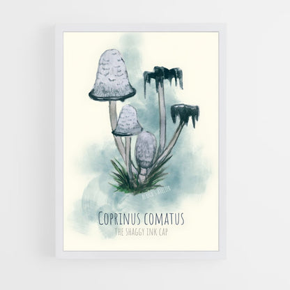 ap-shaggy ink cap-4 cadre Blanc