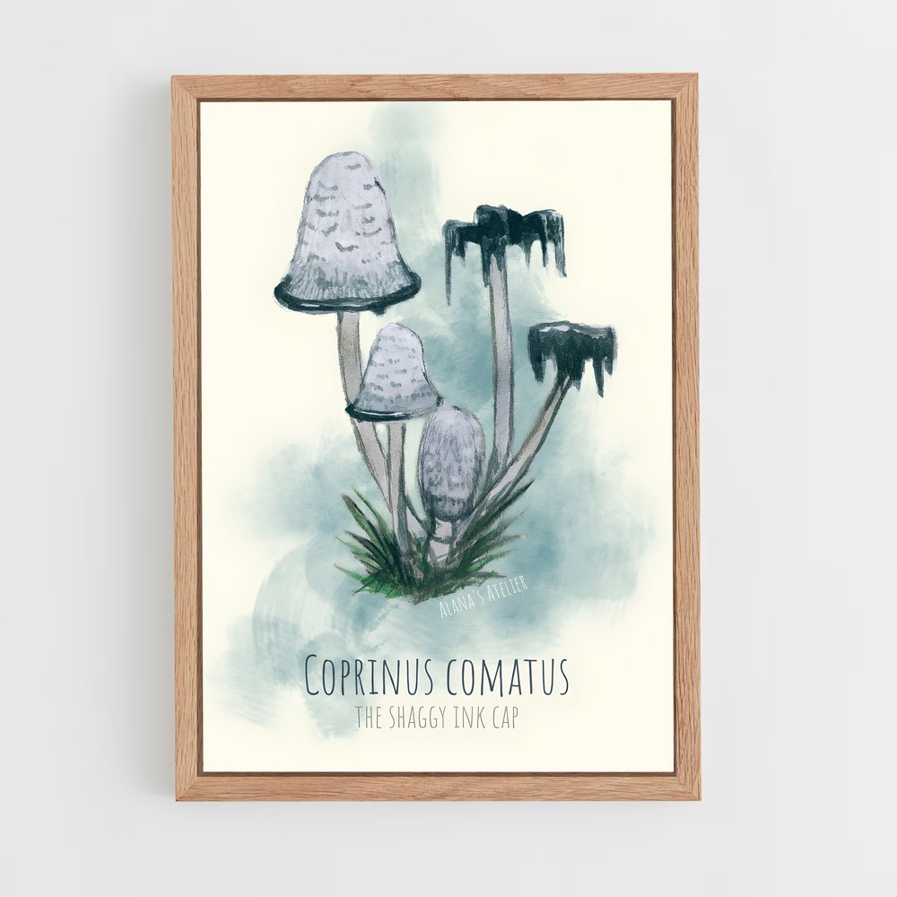 ap-shaggy ink cap-4 cadre Bois clair