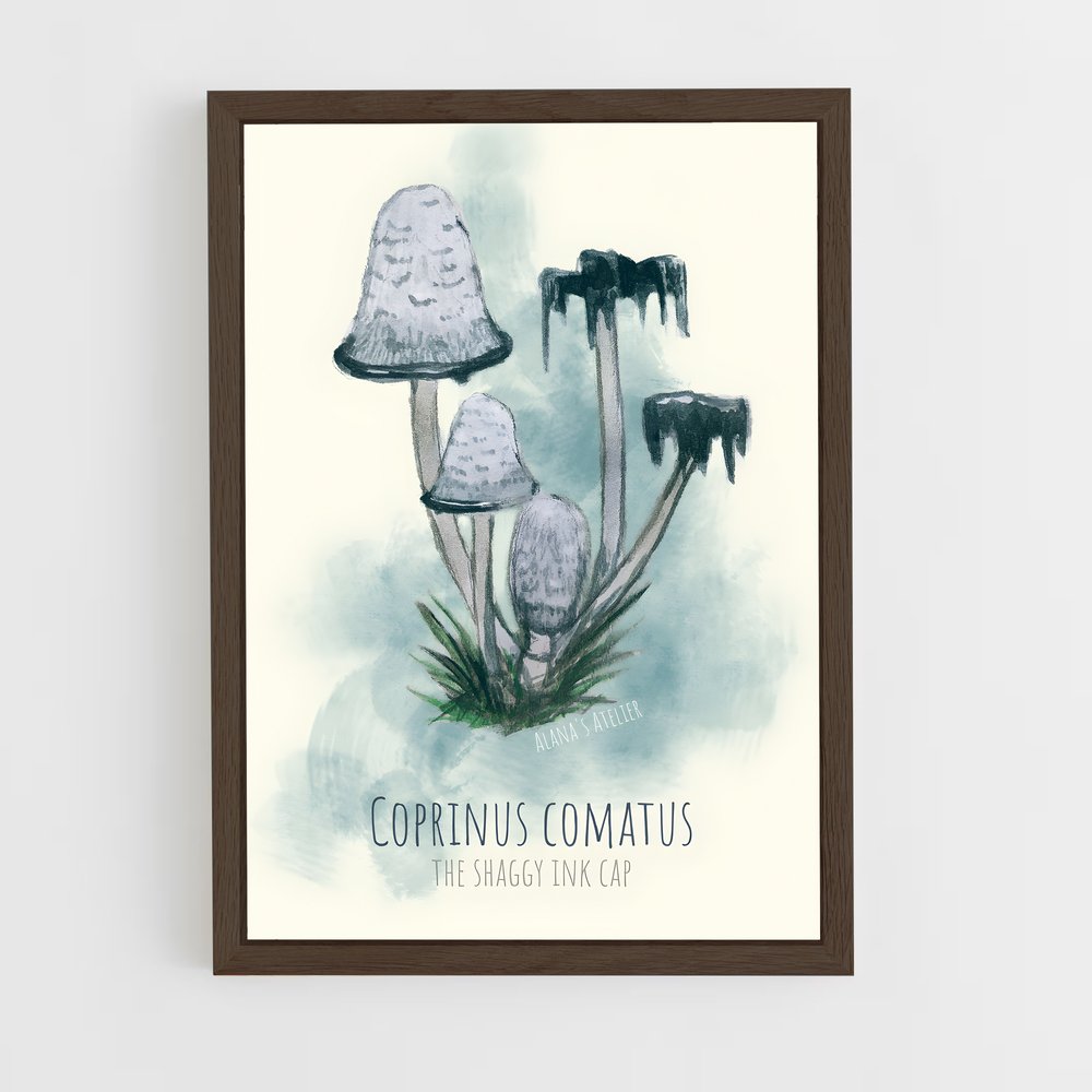 ap-shaggy ink cap-4 cadre Bois foncé