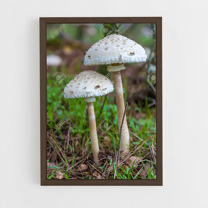 ap-shaggy parasol-1 cadre Bois foncé
