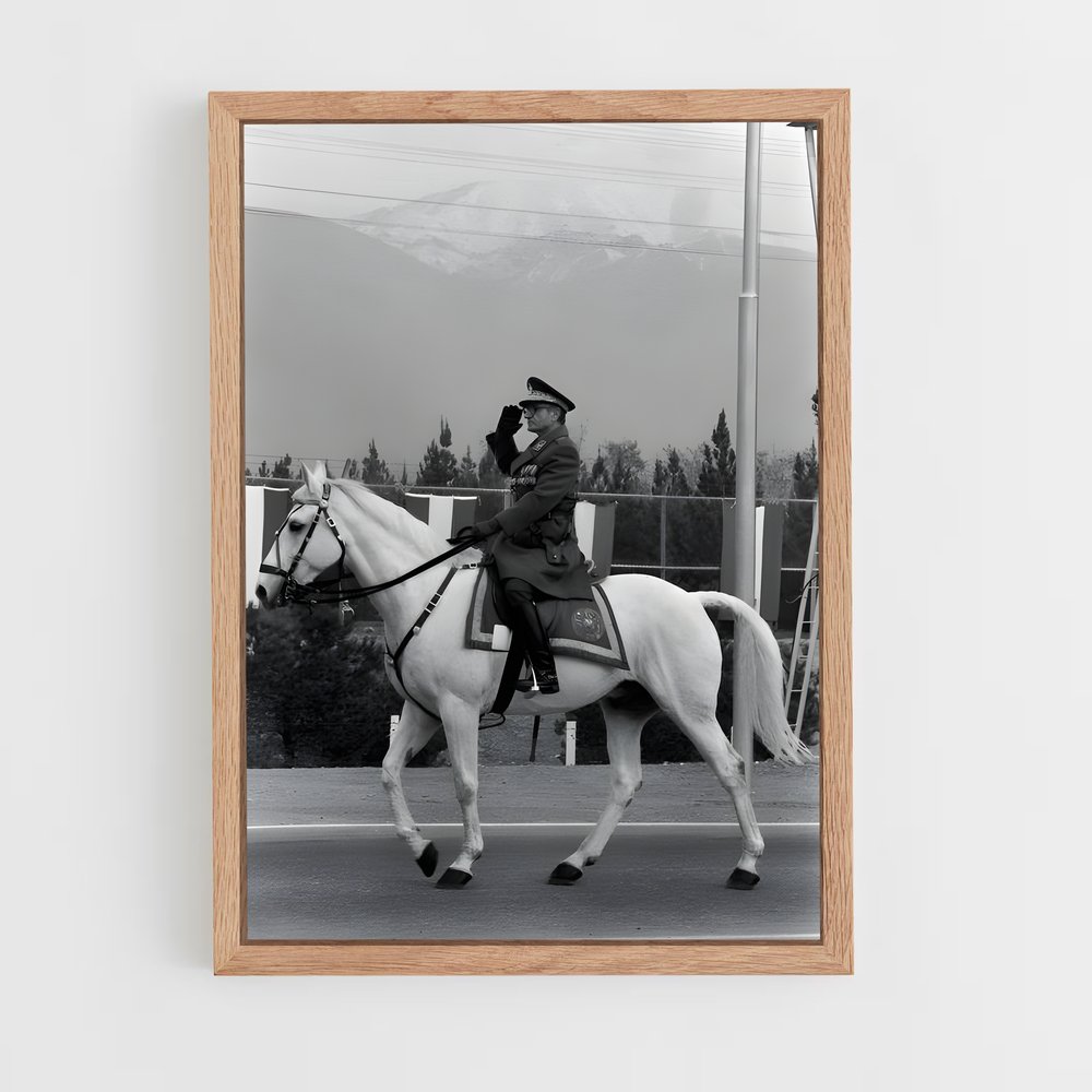 ap-shah mohammad reza pahlavi-4 cadre Bois clair