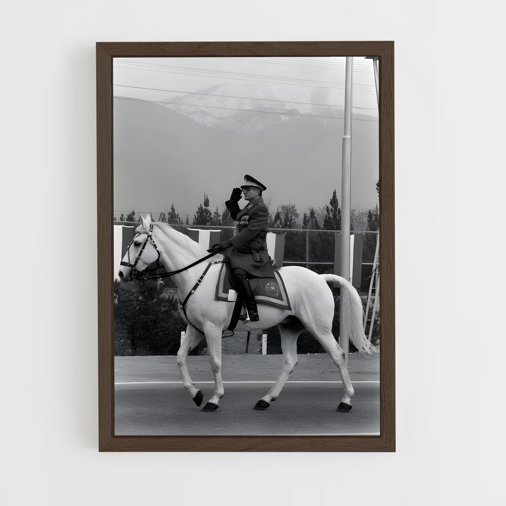 ap-shah mohammad reza pahlavi-4 cadre Bois foncé