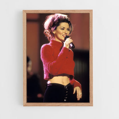 ap-shania twain-1 cadre Bois clair