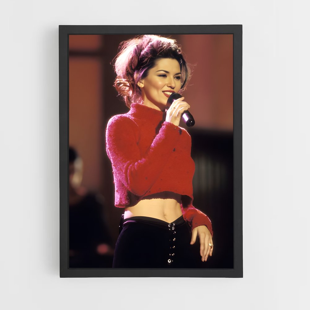 ap-shania twain-1 cadre Noir