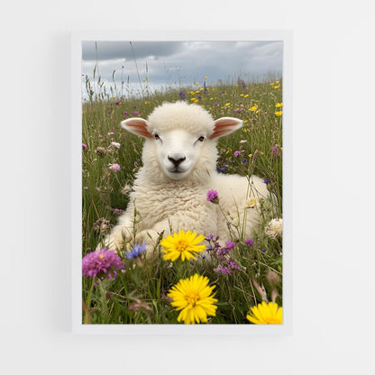 ap-sheep-1 cadre Blanc