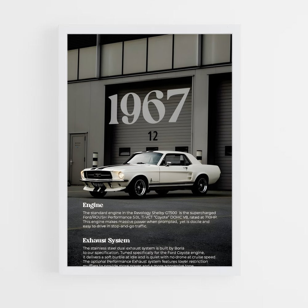 ap-shelby-5 cadre Blanc