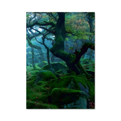 Poster Mystères de Sherwood