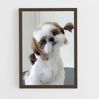 ap-shih tzu-4 cadre Bois foncé