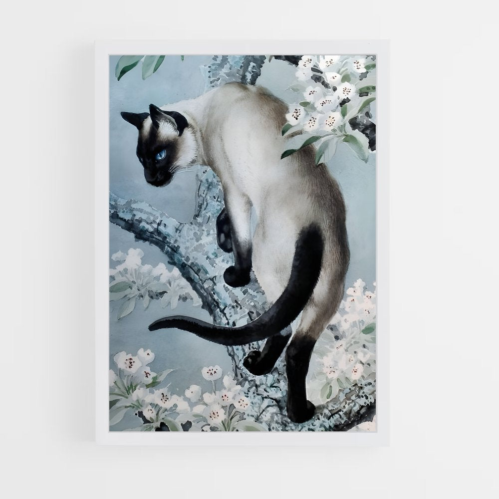 ap-siamese-3 cadre Blanc