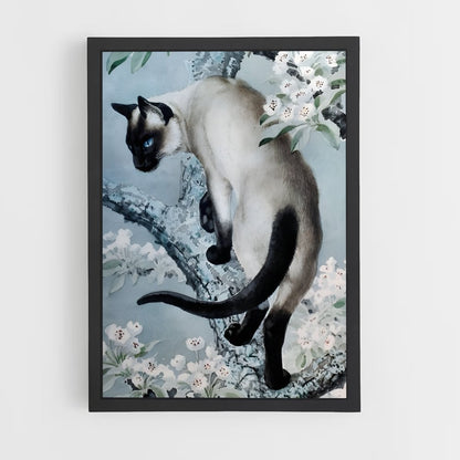 ap-siamese-3 cadre Noir