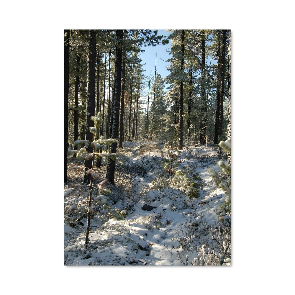 Poster Sentiers Gelés