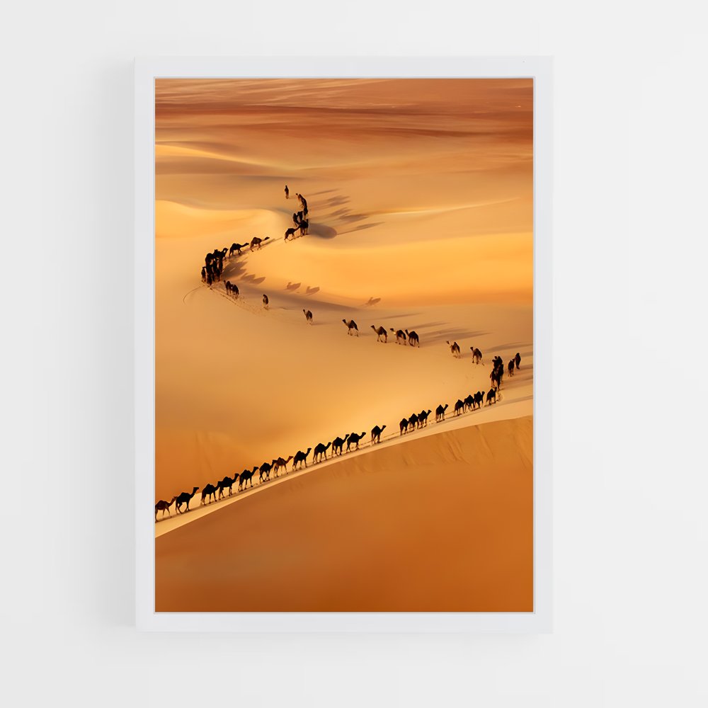 ap-silk road-4 cadre Blanc