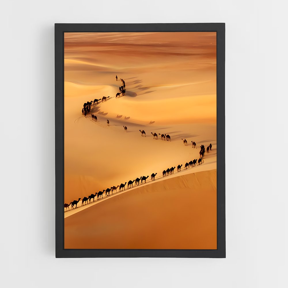 ap-silk road-4 cadre Noir