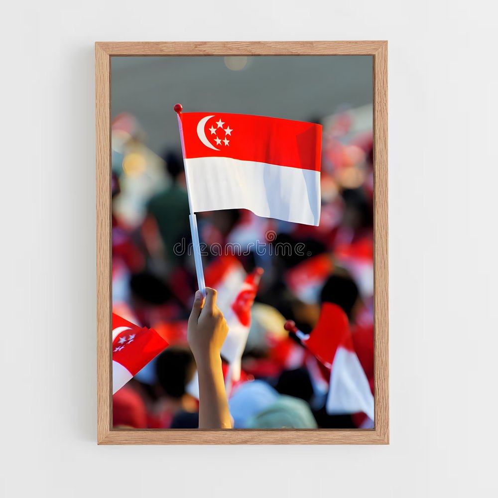 ap-singapore flag-1 cadre Bois clair