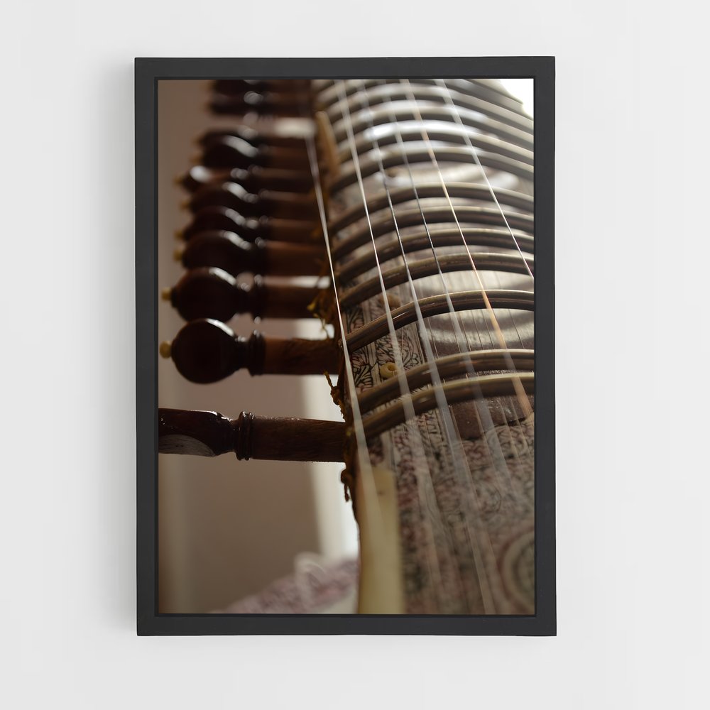 ap-sitar-6 cadre Noir