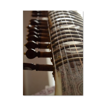Poster Vibrations de Cordes