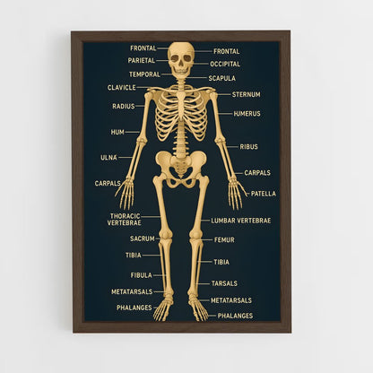 ap-skeleton-10 cadre Bois foncé