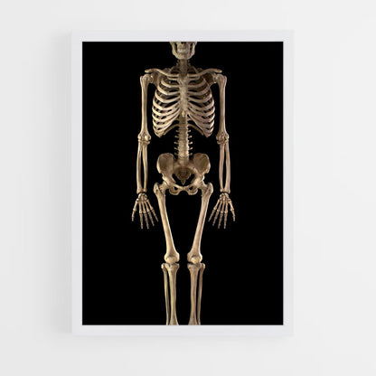 ap-skeleton-2 cadre Blanc