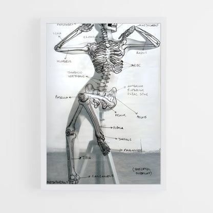 ap-skeleton-3 cadre Blanc