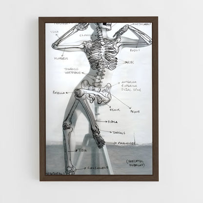 ap-skeleton-3 cadre Bois foncé