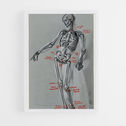 ap-skeleton-4 cadre Blanc