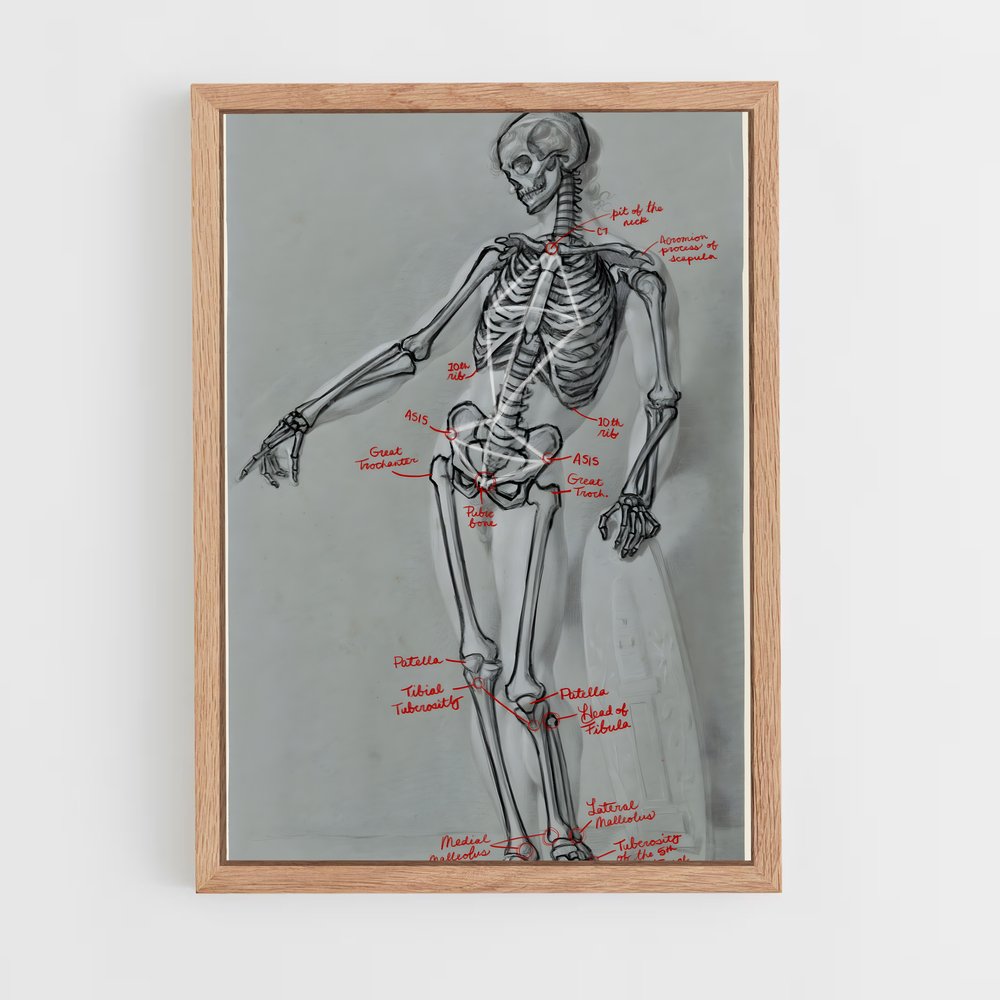 ap-skeleton-4 cadre Bois clair