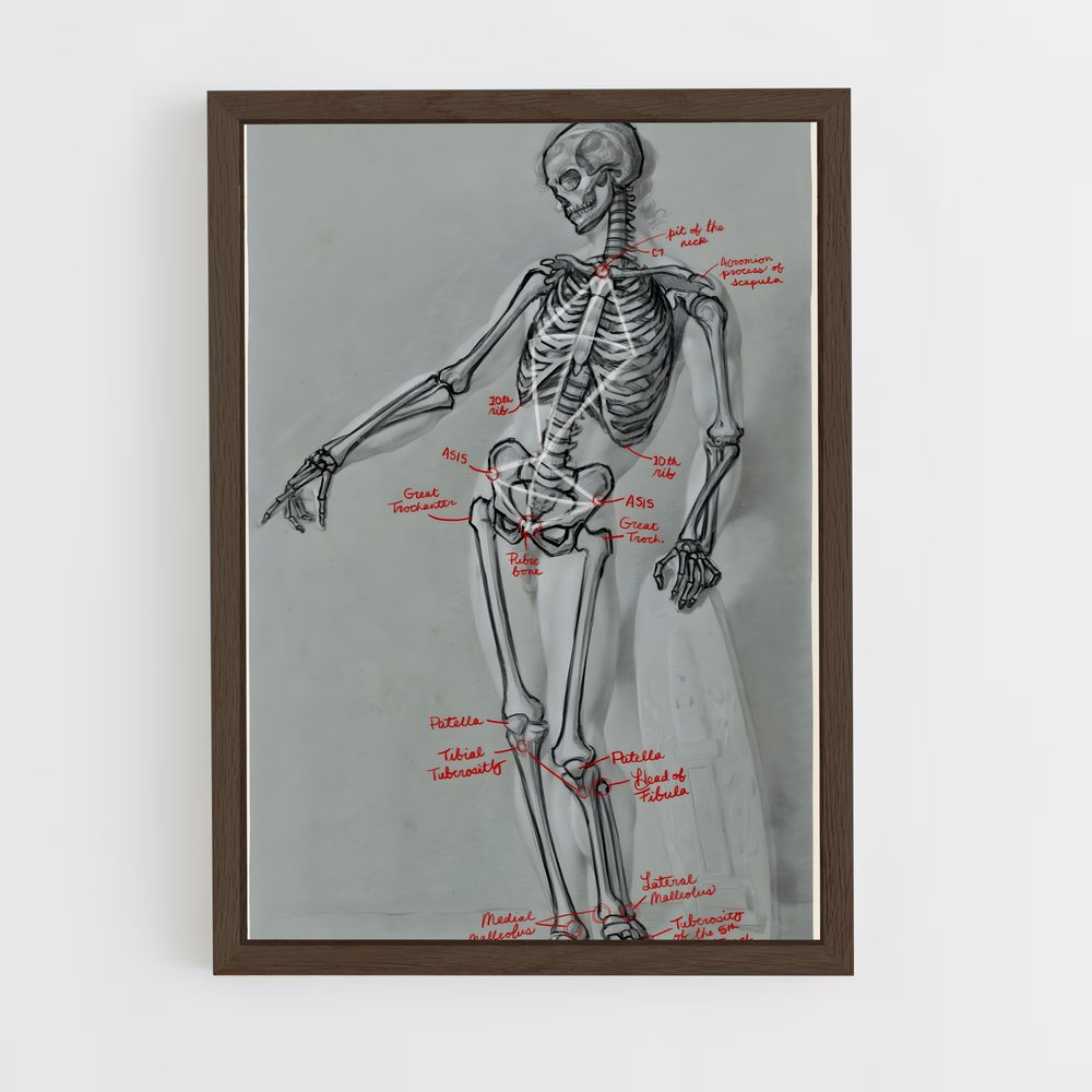 ap-skeleton-4 cadre Bois foncé