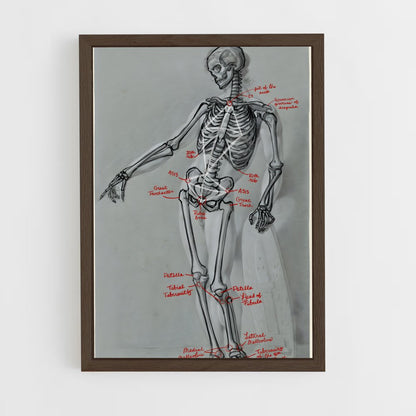 ap-skeleton-4 cadre Bois foncé