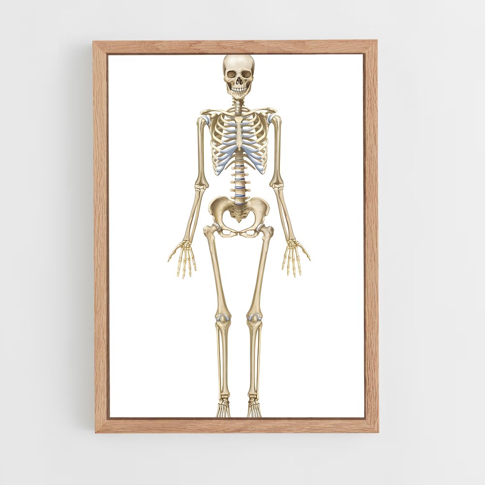 ap-skeleton-7 cadre Bois clair