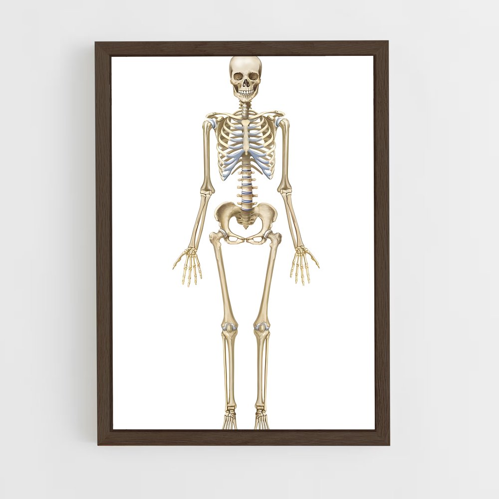 ap-skeleton-7 cadre Bois foncé