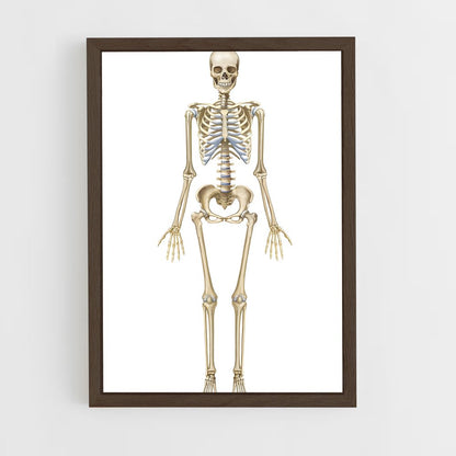ap-skeleton-7 cadre Bois foncé
