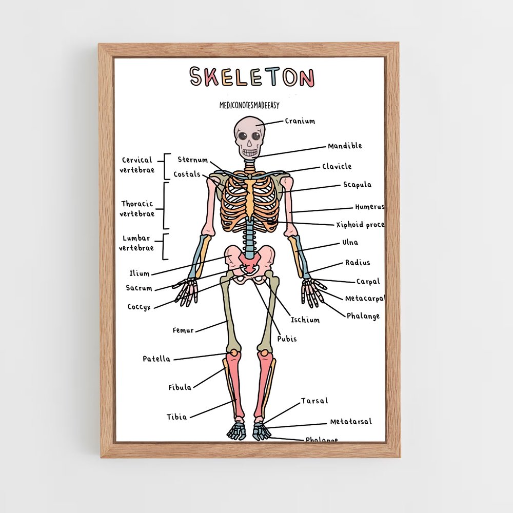 ap-skeleton-8 cadre Bois clair