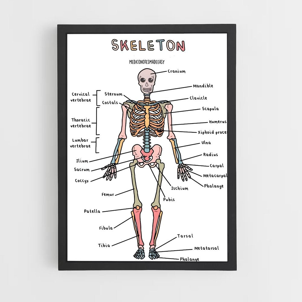 ap-skeleton-8 cadre Noir