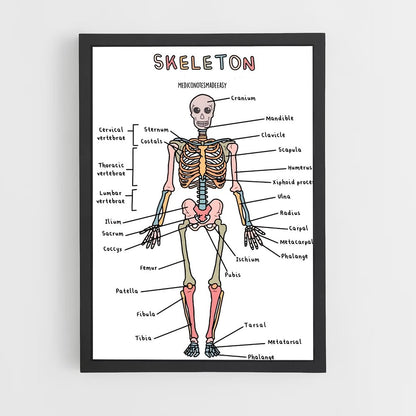 ap-skeleton-8 cadre Noir