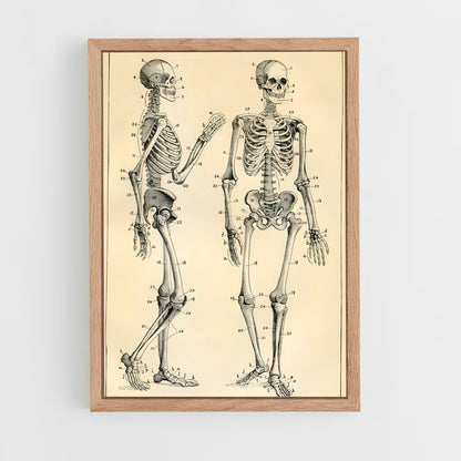 ap-skeleton-9 cadre Bois clair