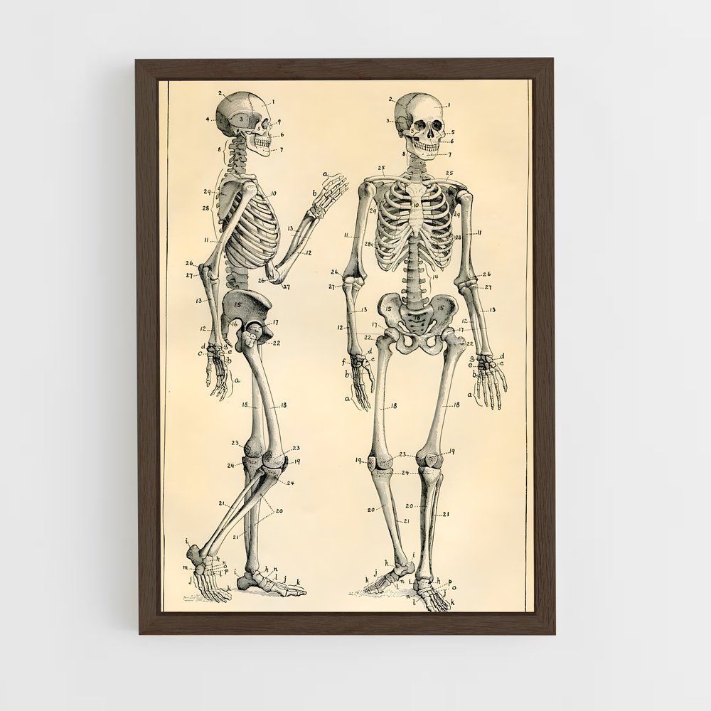 ap-skeleton-9 cadre Bois foncé
