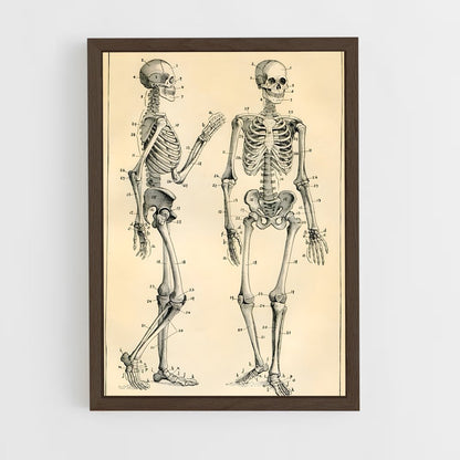ap-skeleton-9 cadre Bois foncé