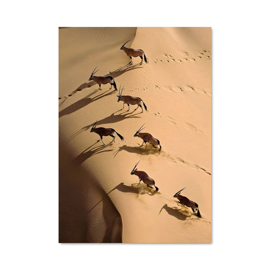 Poster Dunes de la Côte Squelette