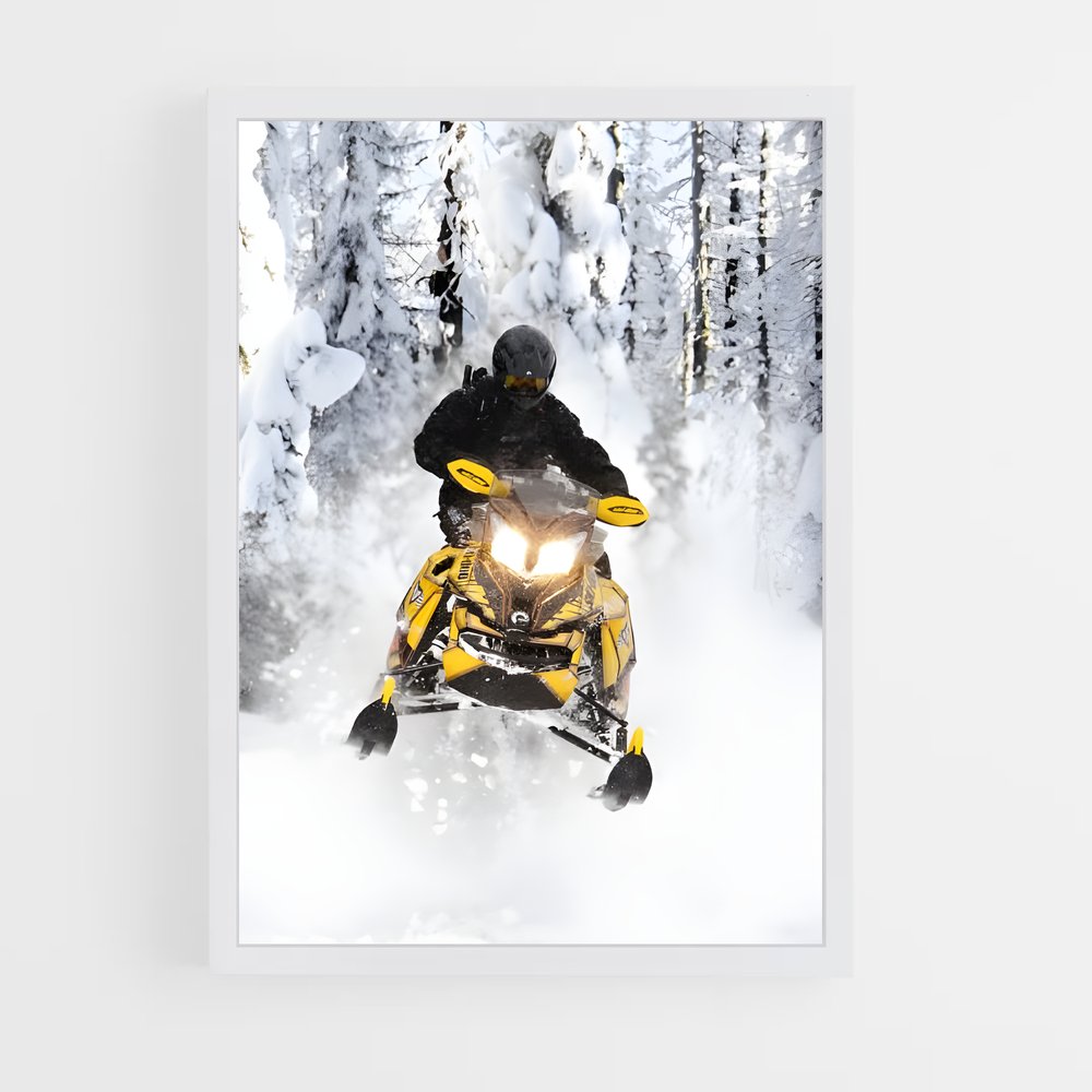 ap-ski-doo renegade-1 cadre Blanc