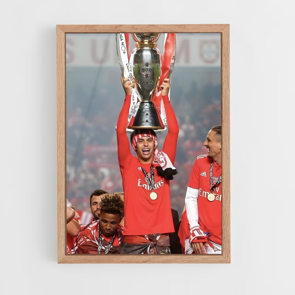 ap-sl benfica-20 cadre Bois clair