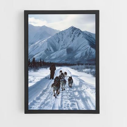 ap-sled dog teams alaska-1 cadre Noir