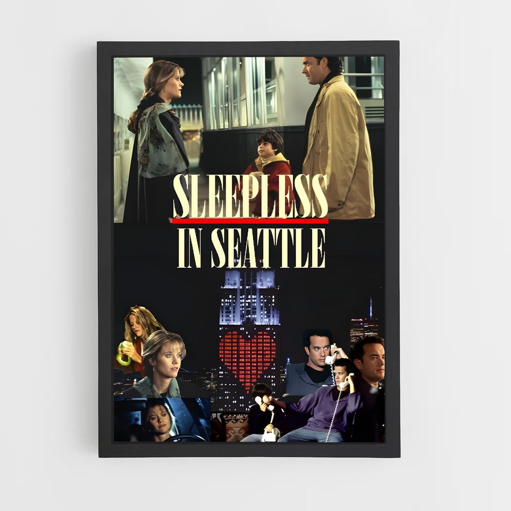 ap-sleepless in seattle-7 cadre Noir